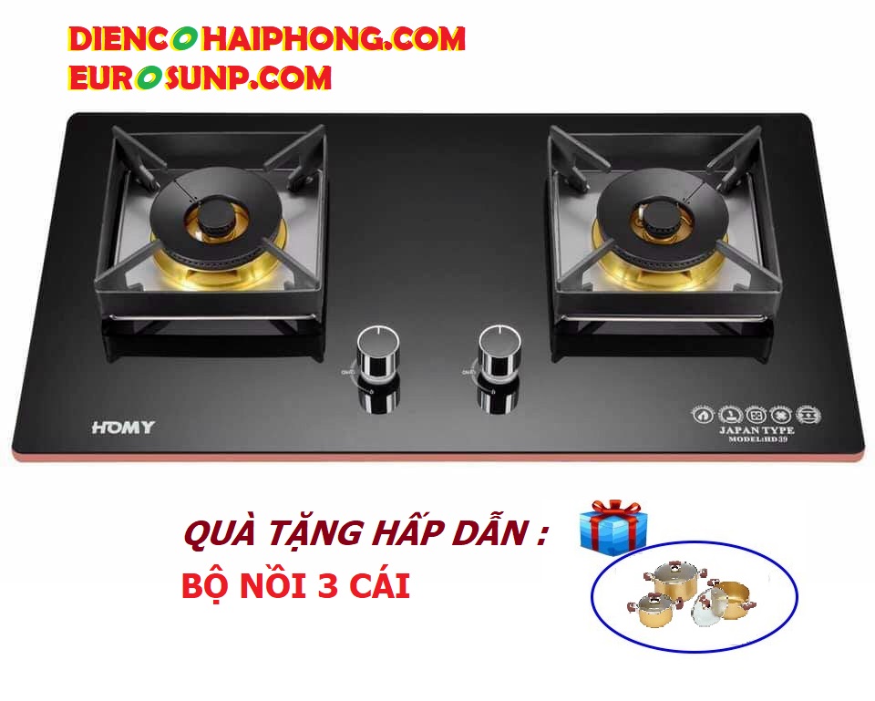 Bếp ga âm Homy HD-039 ( tặng bộ nồi )