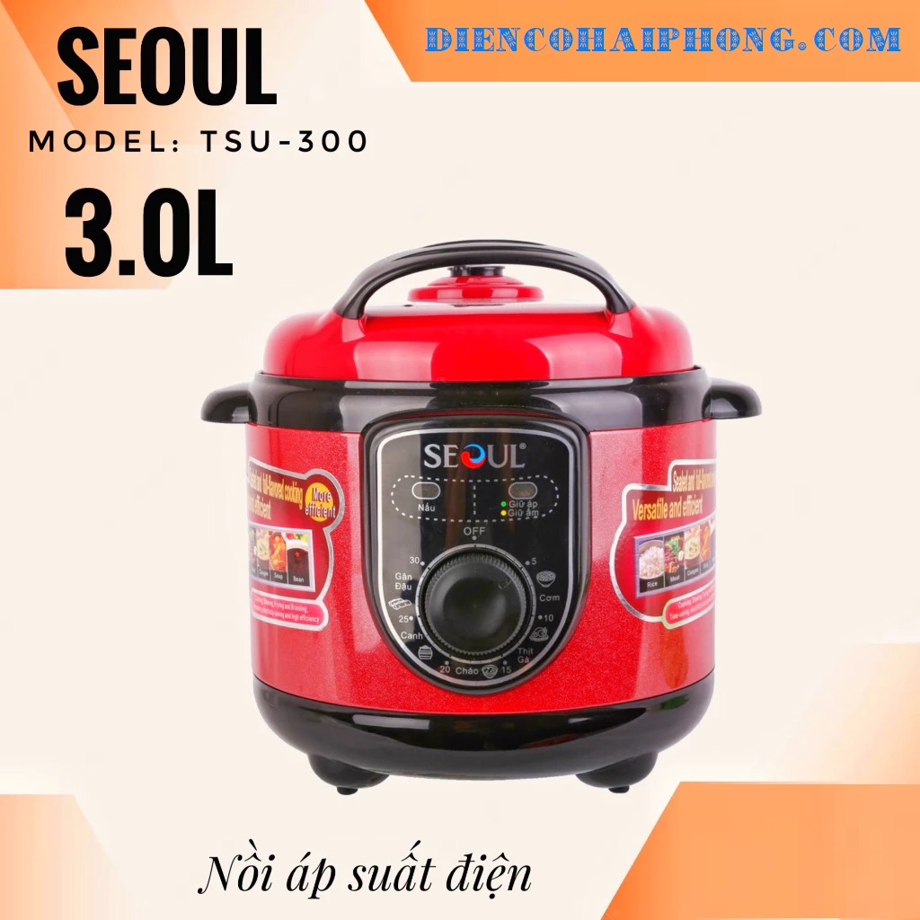 Nồi Ấp suất SEOUL TSU300 3L